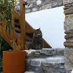 Ibri Selçuk