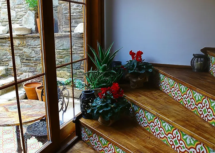 伊比利酒店 3* 塞尔丘克