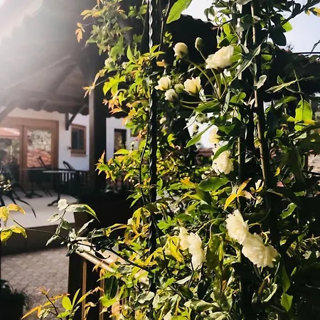 فندق Ibri سلجوك