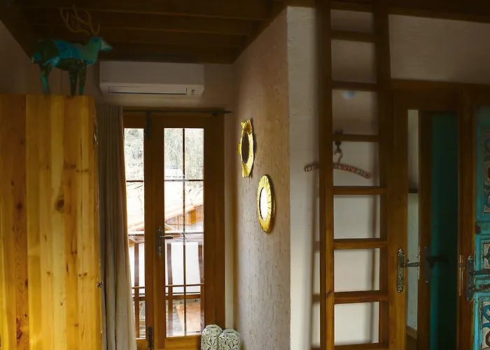 Ibri セルチュク