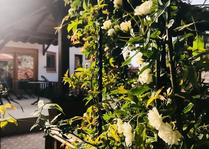 ホテル Ibri セルチュク